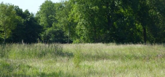 Terrain à bâtir à Cadaujac, Nouvelle-Aquitaine