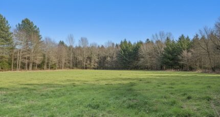 Audenge Terrain à bâtir - 2417288-11686annonce120260203S6Hv5.jpeg Maisons Open