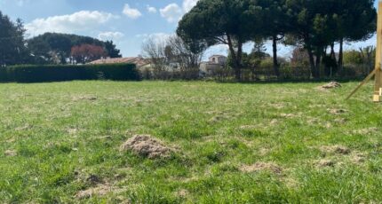 Saint-Augustin Terrain à bâtir - 2417553-11163annonce120260203UvH3J.jpeg Maisons Open