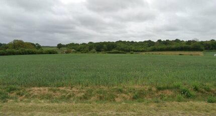 Meursac Terrain à bâtir - 2417531-11163annonce120260203C58E1.jpeg Maisons Open