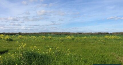 Bourgneuf Terrain à bâtir - 2417661-9644annonce120260204GfiiE.jpeg Maisons Open