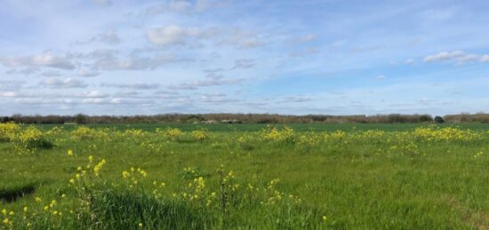 Terrain à bâtir à , Charente-Maritime