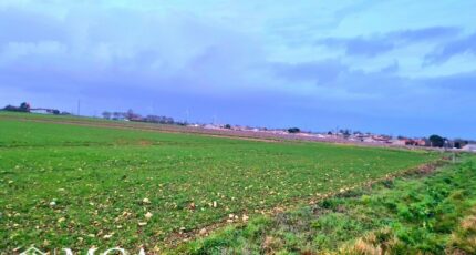 Angliers Terrain à bâtir - 2417642-6087annonce120260203GW9Oy.jpeg Maisons Open