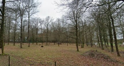 Médis Terrain à bâtir - 2417695-7092annonce12026020446KMP.jpeg Maisons Open