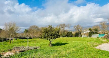 Le Pradet Terrain à bâtir - 2418287-9707annonce2202602047VSsz.jpeg Maisons Open