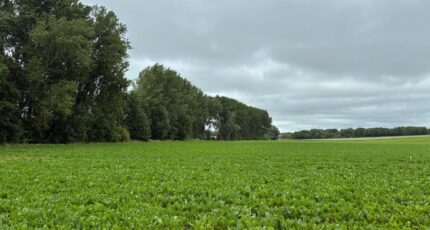 Monchy-le-Preux Terrain à bâtir - 2418858-5719annonce220260204g9Gyt.jpeg Maisons Open