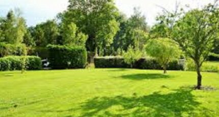 Mios Terrain à bâtir - 2419245-3127annonce120240827Vtwpm.jpeg Maisons Open