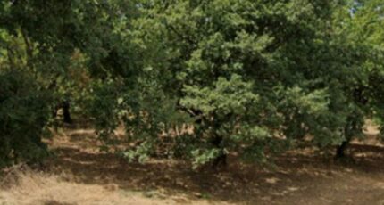 Margès Terrain à bâtir - 2354214-11248annonce220251202XuudC.jpeg Maisons Open