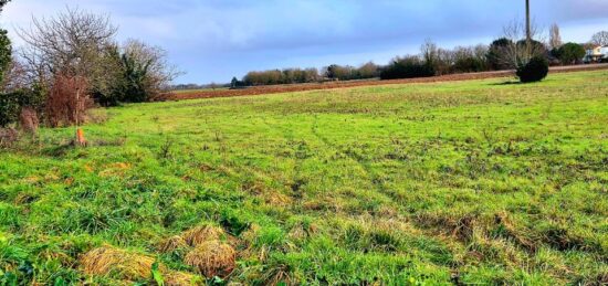 Terrain à bâtir à Forges, Nouvelle-Aquitaine