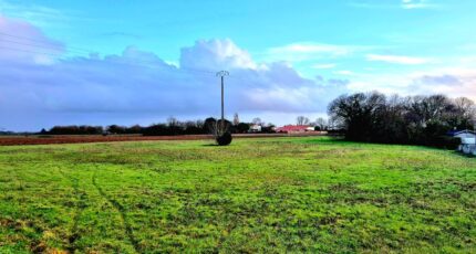 Forges Terrain à bâtir - 2419941-6087annonce22026020582LwZ.jpeg Maisons Open