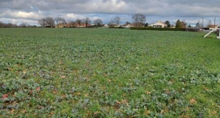 Legé Terrain à bâtir - 2417920-11728annonce120260204kTMD8.jpeg Maisons Open