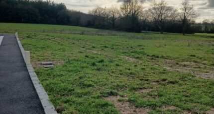 Falleron Terrain à bâtir - 2417854-11728annonce120260204iS4RF.jpeg Maisons Open