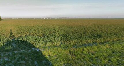 Lieu-Saint-Amand Terrain à bâtir - 2420036-10863annonce120260205TstAn.jpeg Maisons Open