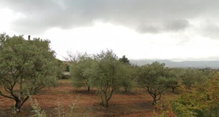 Pourrières Terrain à bâtir - 2419970-7054annonce120260205q2OTv.jpeg Maisons Open