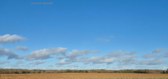 Terrain à bâtir à Bourgneuf, Nouvelle-Aquitaine