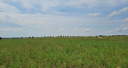 Bourgneuf Terrain à bâtir - 2420152-6087annonce2202602057cqiu.jpeg Maisons Open