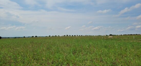 Terrain à bâtir à , Charente-Maritime