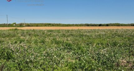 Saint-Médard-d'Aunis Terrain à bâtir - 2420215-6087annonce120260205cc2gp.jpeg Maisons Open
