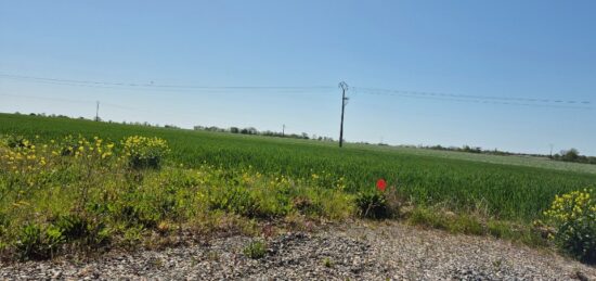 Terrain à bâtir à , Charente-Maritime