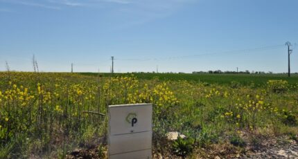 Saint-Médard-d'Aunis Terrain à bâtir - 2420288-6087annonce220260205WgLaz.jpeg Maisons Open