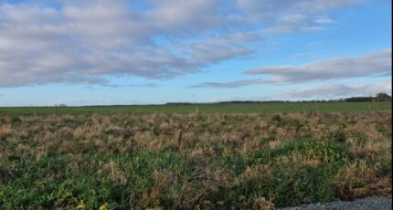 Ballon Terrain à bâtir - 2417692-6087annonce220260204zdLGM.jpeg Maisons Open