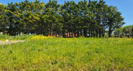 Saint-Médard-d'Aunis Terrain à bâtir - 2420471-6087annonce220260206JHTTR.jpeg Maisons Open