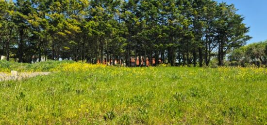 Terrain à bâtir à , Charente-Maritime