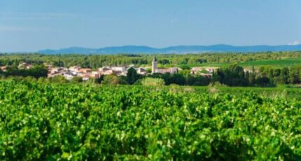 Pinet Terrain à bâtir - 2420491-10896annonce220260206yPtNz.jpeg Maisons Open