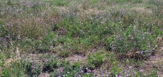 Terrain à bâtir à Latour-Bas-Elne, Occitanie