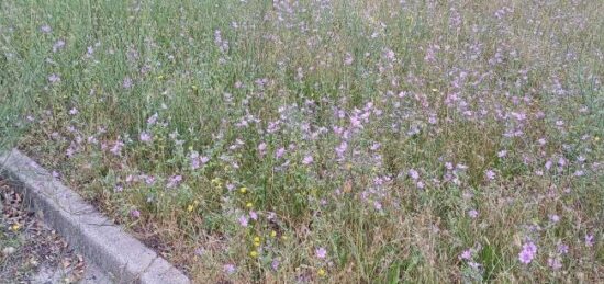Terrain à bâtir à Latour-Bas-Elne, Occitanie