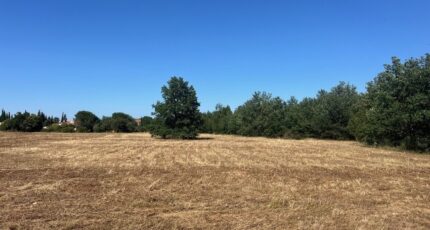 Thuir Terrain à bâtir - 2420743-4671annonce1202602060IWze.jpeg Maisons Open