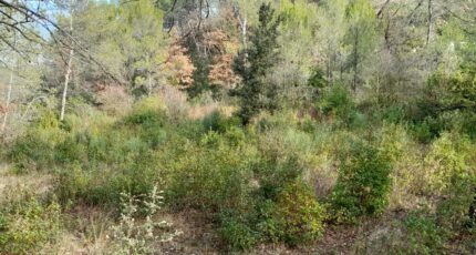 Brignoles Terrain à bâtir - 2422004-10744annonce220251001O9Oqs.jpeg Maisons Open