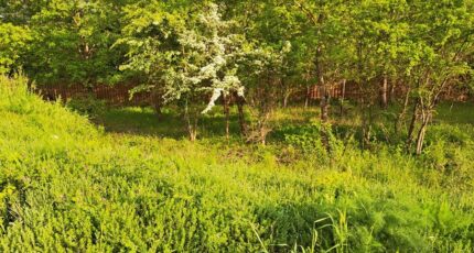 Gréasque Terrain à bâtir - 2422112-11041annonce420260208XPGLe.jpeg Maisons Open