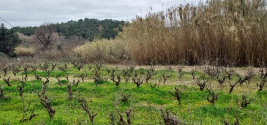 Terrain à bâtir à Pierrefeu-du-Var, Provence-Alpes-Côte d'Azur