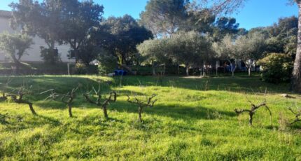 Pierrefeu-du-Var Terrain à bâtir - 2385382-11137annonce220250819Pod7Q.jpeg Maisons Open