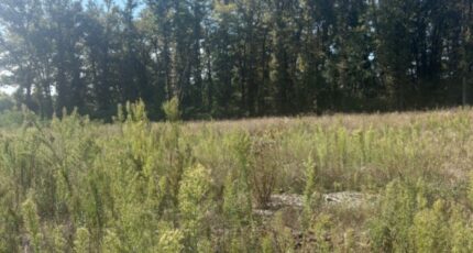 Galgon Terrain à bâtir - 2382952-10947annonce120260106LUpTn.jpeg Maisons Open