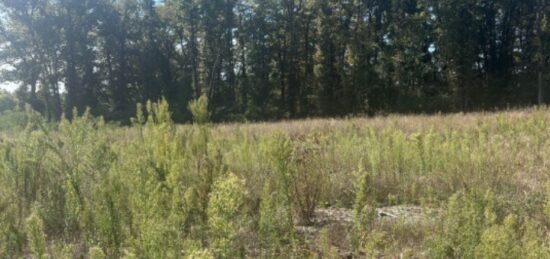Terrain à bâtir à Galgon, Nouvelle-Aquitaine