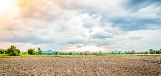 Terrain à bâtir à Neuillé-Pont-Pierre, Centre-Val de Loire