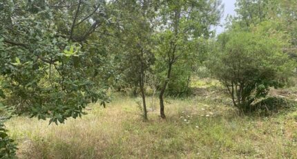 Carnoules Terrain à bâtir - 2385461-5622annonce120260108vTkIq.jpeg Maisons Open