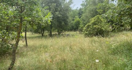 Carnoules Terrain à bâtir - 2385461-5622annonce320260108alQdL.jpeg Maisons Open