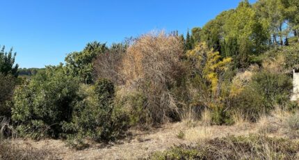 Cuers Terrain à bâtir - 2385809-5622annonce220260108kidib.jpeg Maisons Open