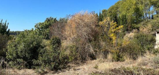 Terrain à bâtir à , Var