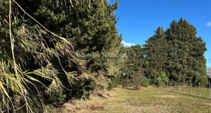 Sarrians Terrain à bâtir - 2386194-695annonce320260108iSMZI.jpeg Maisons Open