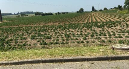 Écurie Terrain à bâtir - 2420148-6159annonce220260205sf51y.jpeg Maisons Open