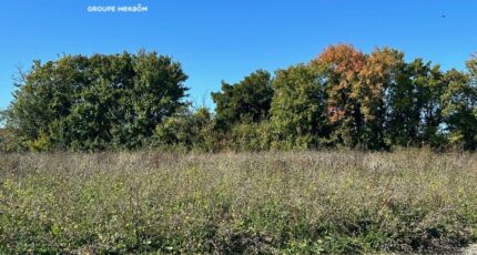 Ardillières Terrain à bâtir - 2422848-9644annonce320260209q9KdG.jpeg Maisons Open