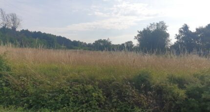 Vagnas Terrain à bâtir - 2423317-5100annonce220260209LKJH9.jpeg Maisons Open