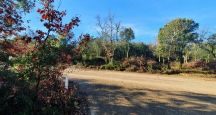 Labastide-de-Virac Terrain à bâtir - 2423326-5100annonce220260209H0XC9.jpeg Maisons Open