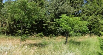 La Bastide-des-Jourdans Terrain à bâtir - 2352128-9917annonce420251128n0ELV.jpeg Maisons Open