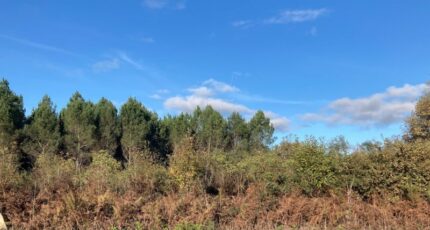 Balizac Terrain à bâtir - 2423379-11071annonce120260209gBxkW.jpeg Maisons Open