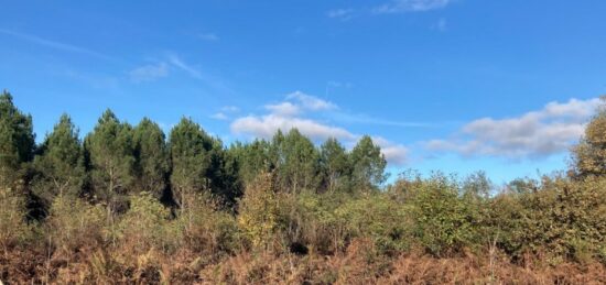 Terrain à bâtir à Balizac, Nouvelle-Aquitaine